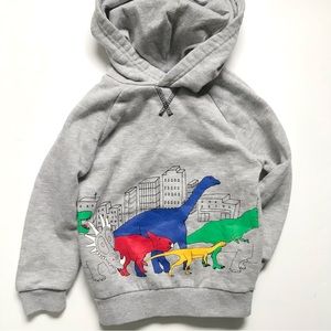 purple dinosaur hoodie primark
